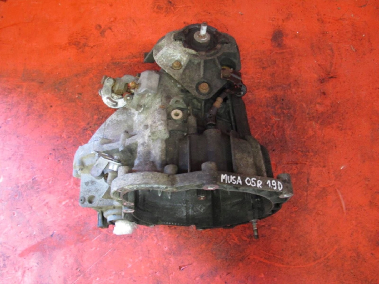 LANCIA MUSA 04- 1.9 D 188B2000 Getriebe ANUALNA