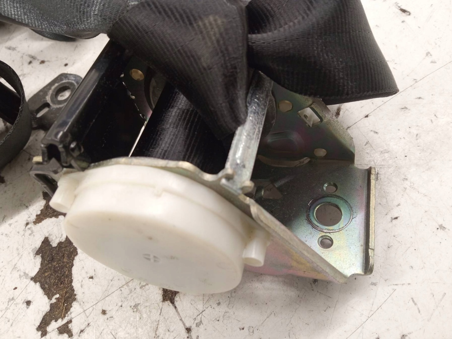 Gurten Sicherheits rechts links heck KANAPY KPL Ford Focus Mk3 (2010-2019)