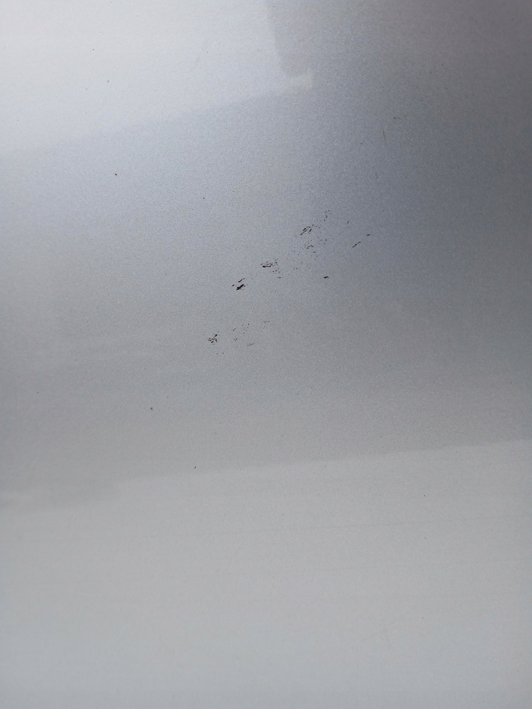 door left rear. BMW E61 354/7 TITANSILBER