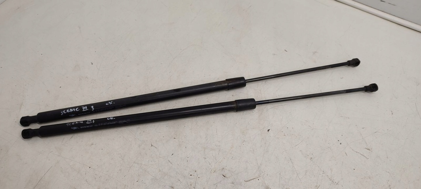 damper telescope bonnets Renault Grand Scenic III 2,0 DCI