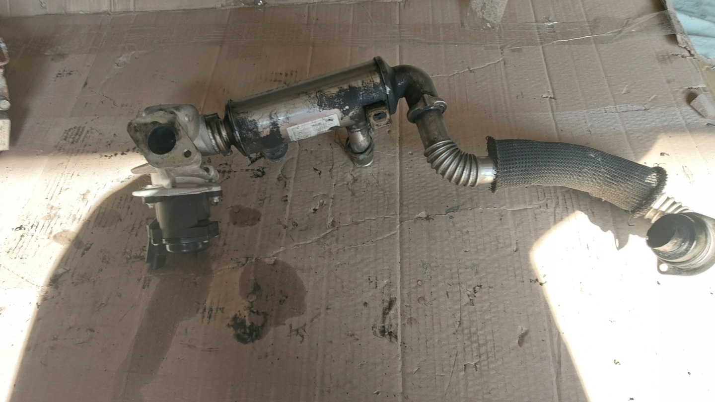 EXPERT SCUDO JUMPY 07->R. 1.6 HDI Sensor Kühler Gase EGR 9649358780