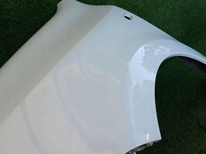 RENAULT TWONGO III 14- fender left front front