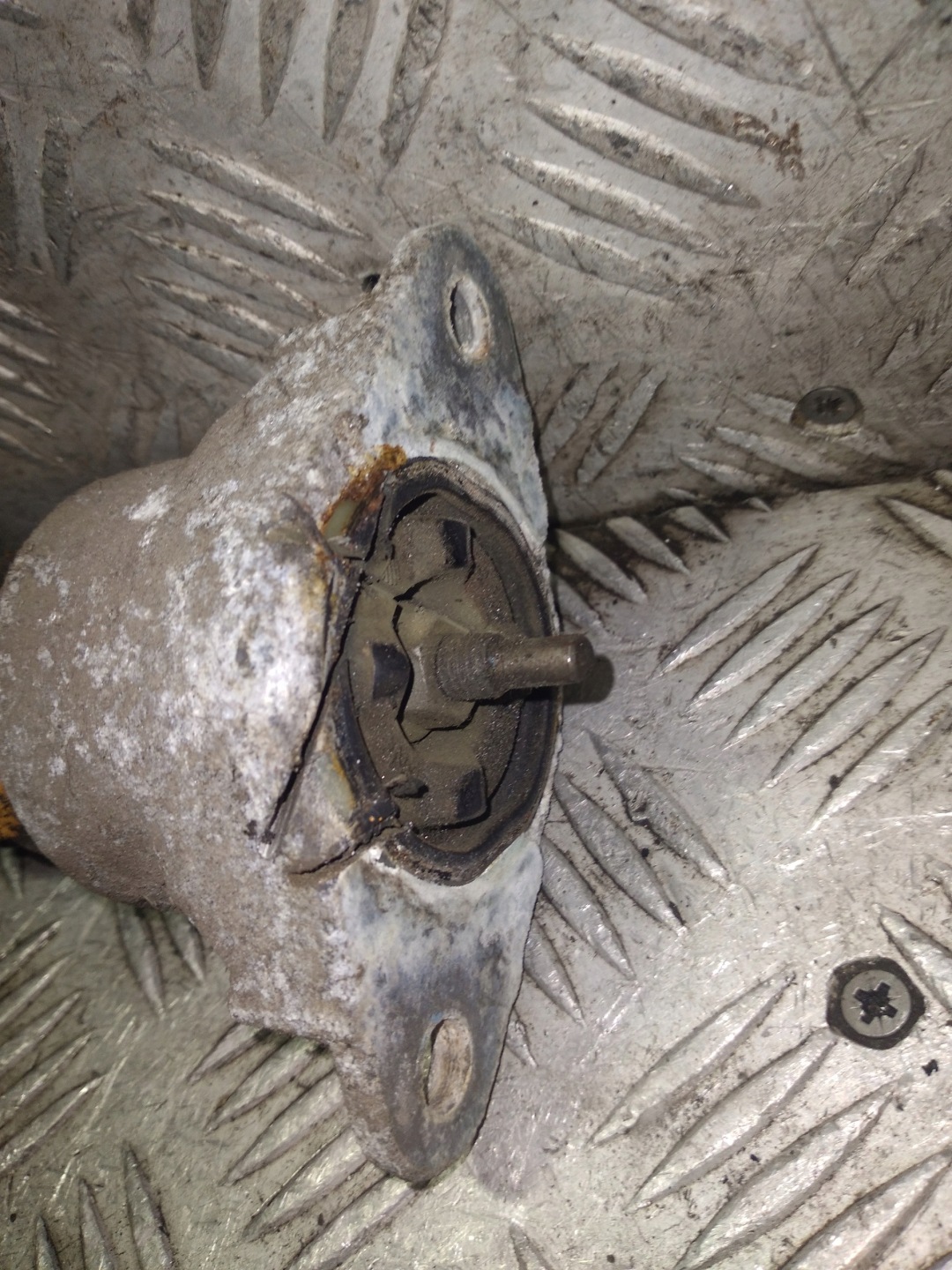 Stoßdämpfer heck hinten FORD FIESTA MK 6