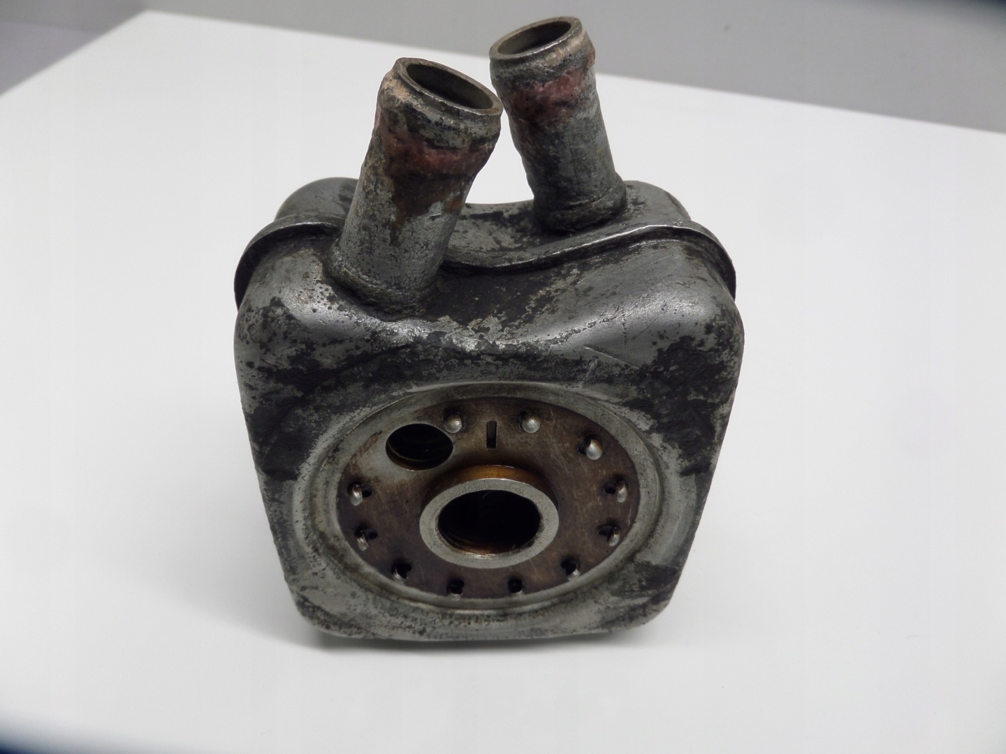 Kühler filter oil AUDI A3 8L 1.8T AGU