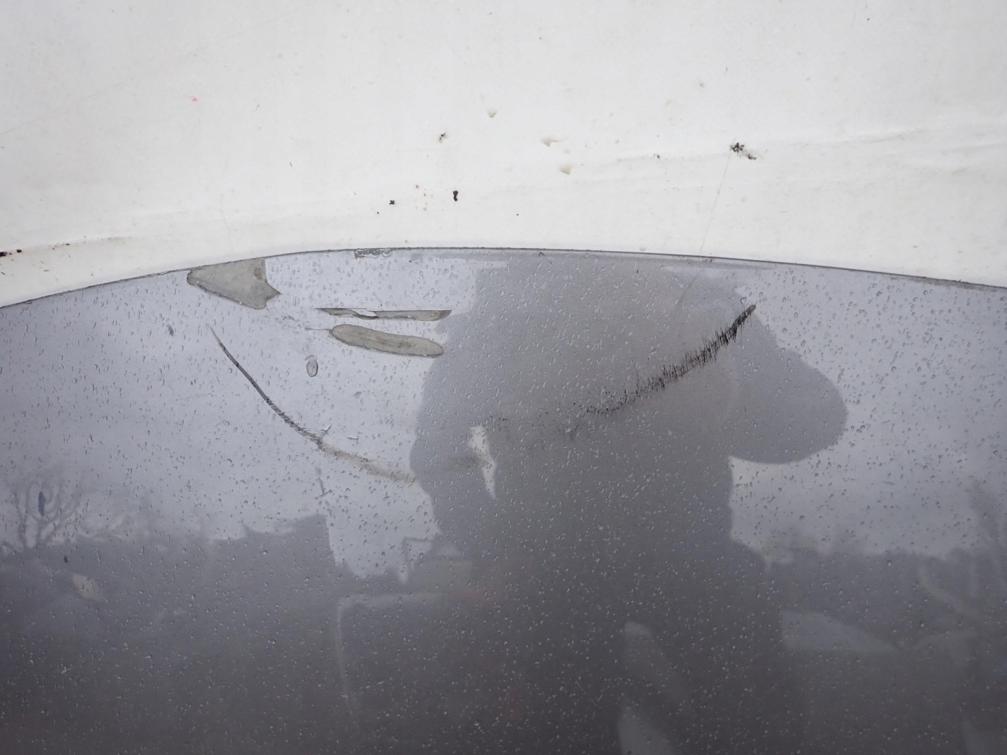 RENAULT CLIO III bonnet metallic