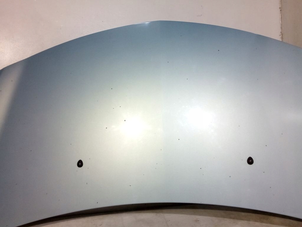 Renault Clio III 3 Cofano TERNK