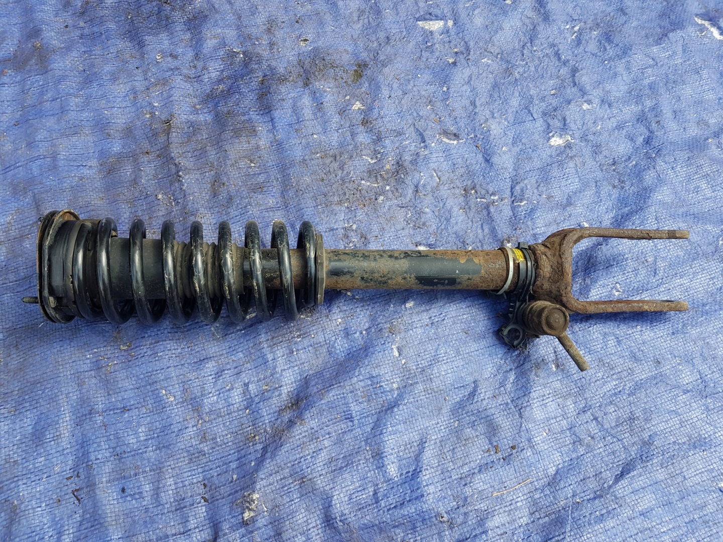 shock absorber front left right MERCEDES W251