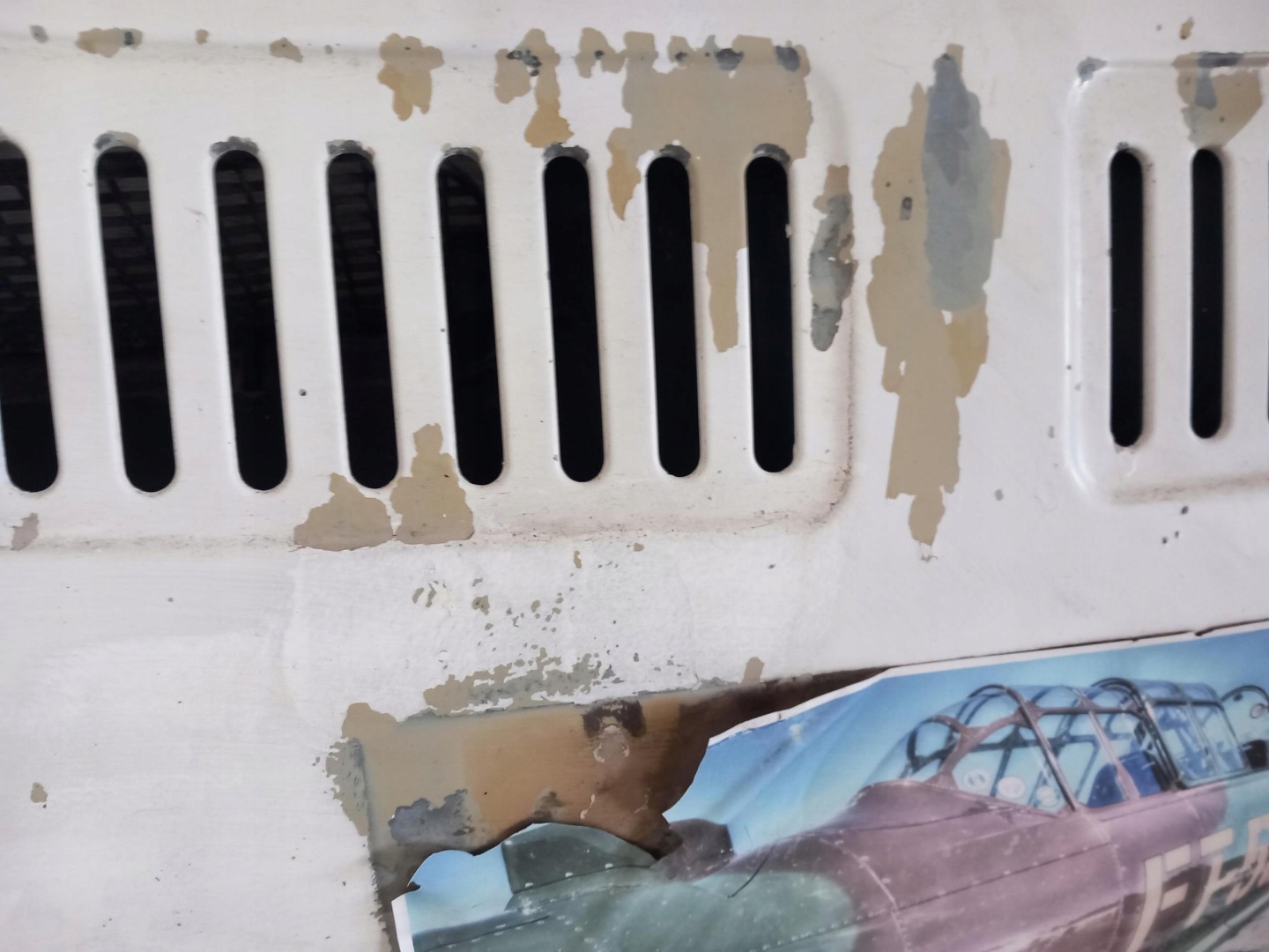 Cofano FIAT DUCATO III 06-12