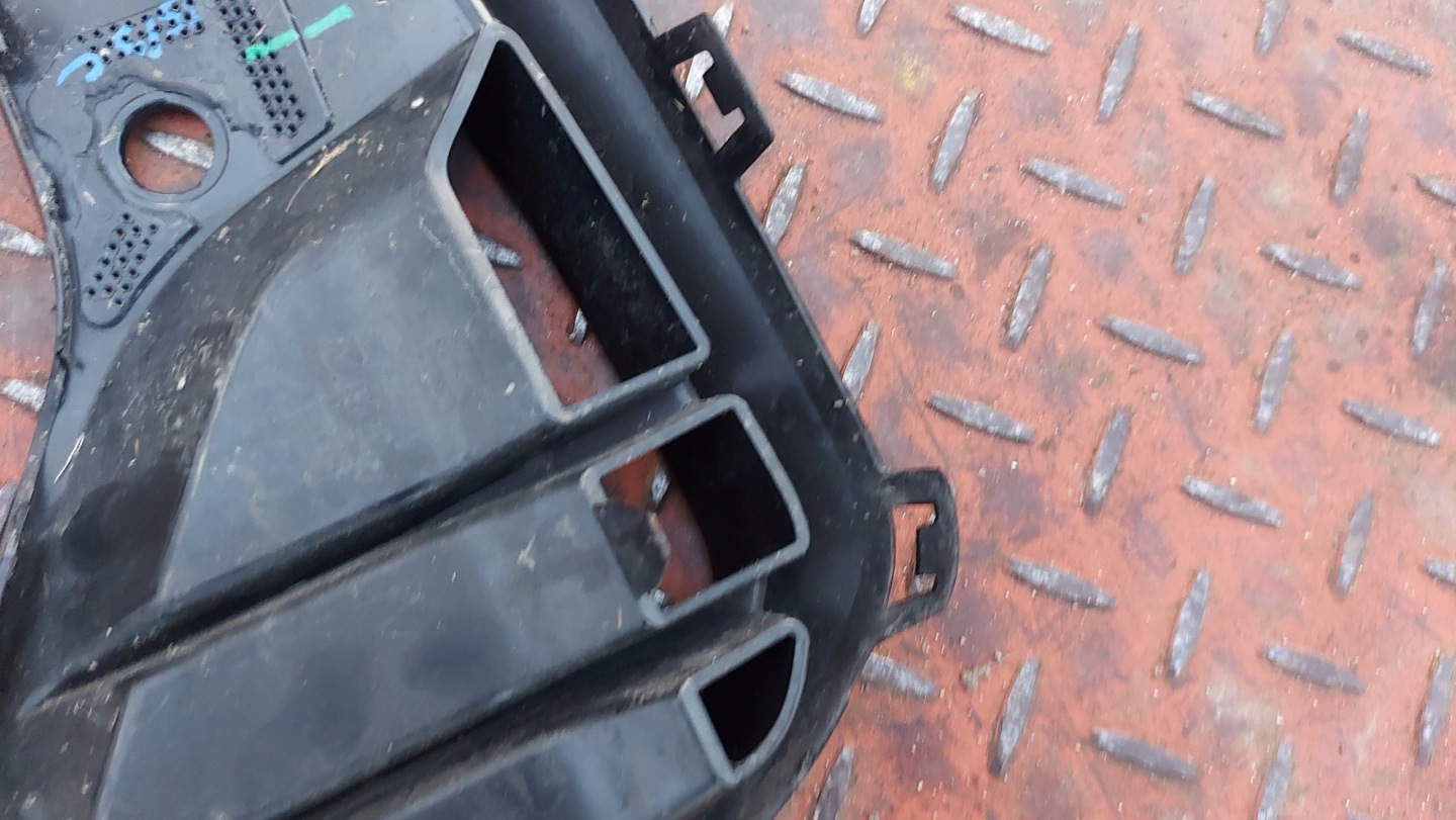 moulding grid of a bumper right right front BMW X3 G01 21
