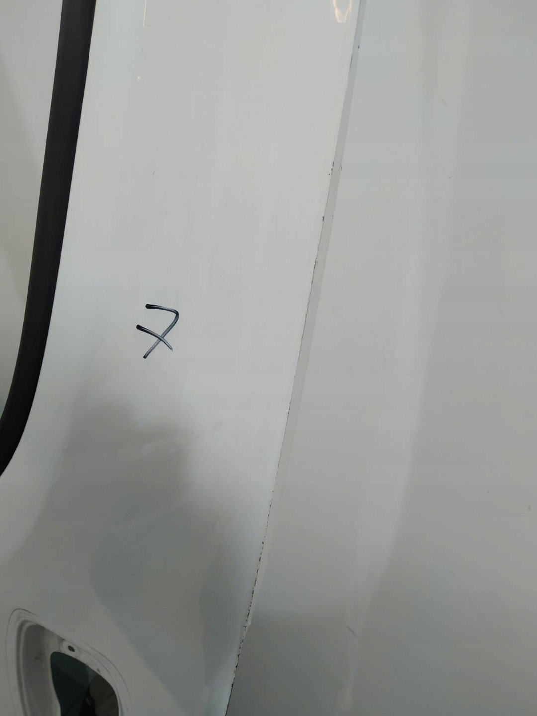 door left front BIALE Fiat Ducato III (2007-)