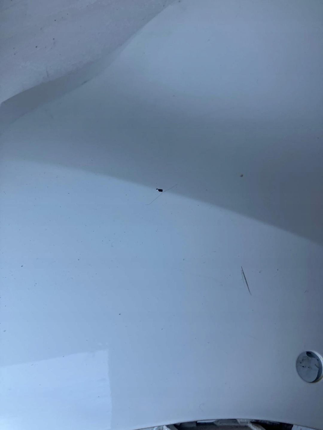 Ecke der Stoßstange links heck RENAULT SCENIC III DV369