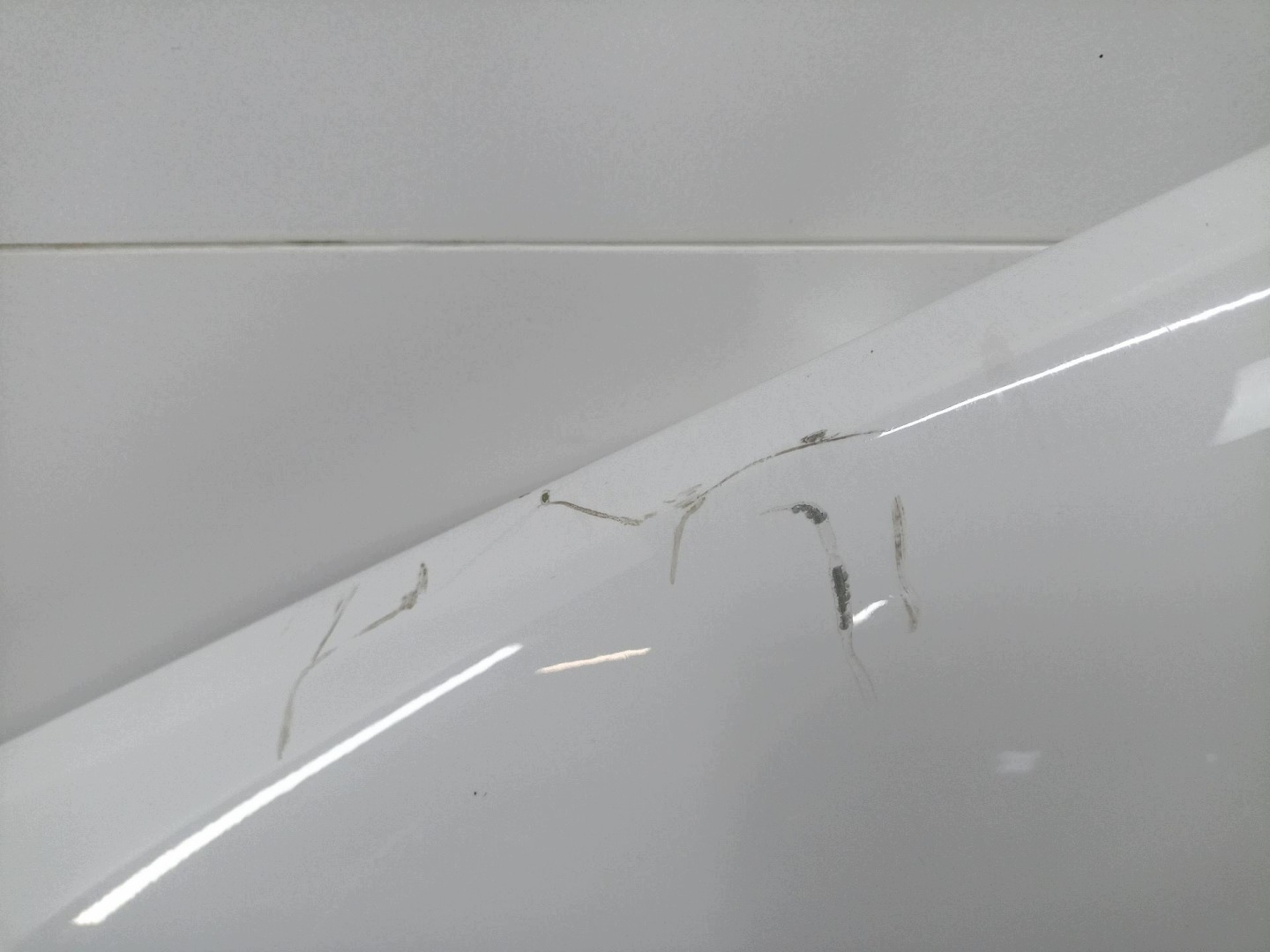 sárvédö eleje bal strona BMW 3 E90/E91 E91 2007