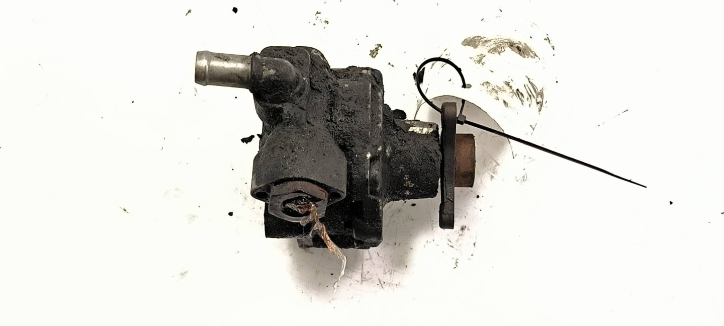 Servopumpe 7651955187 RENAULT MASTER III