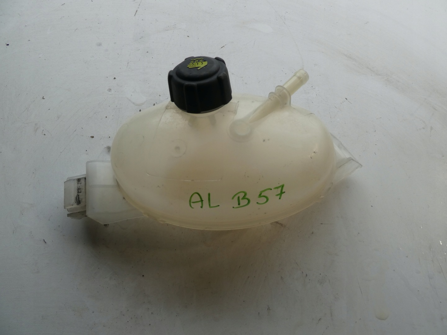 MASTER III RÉSERVOIR EAU 217100015R