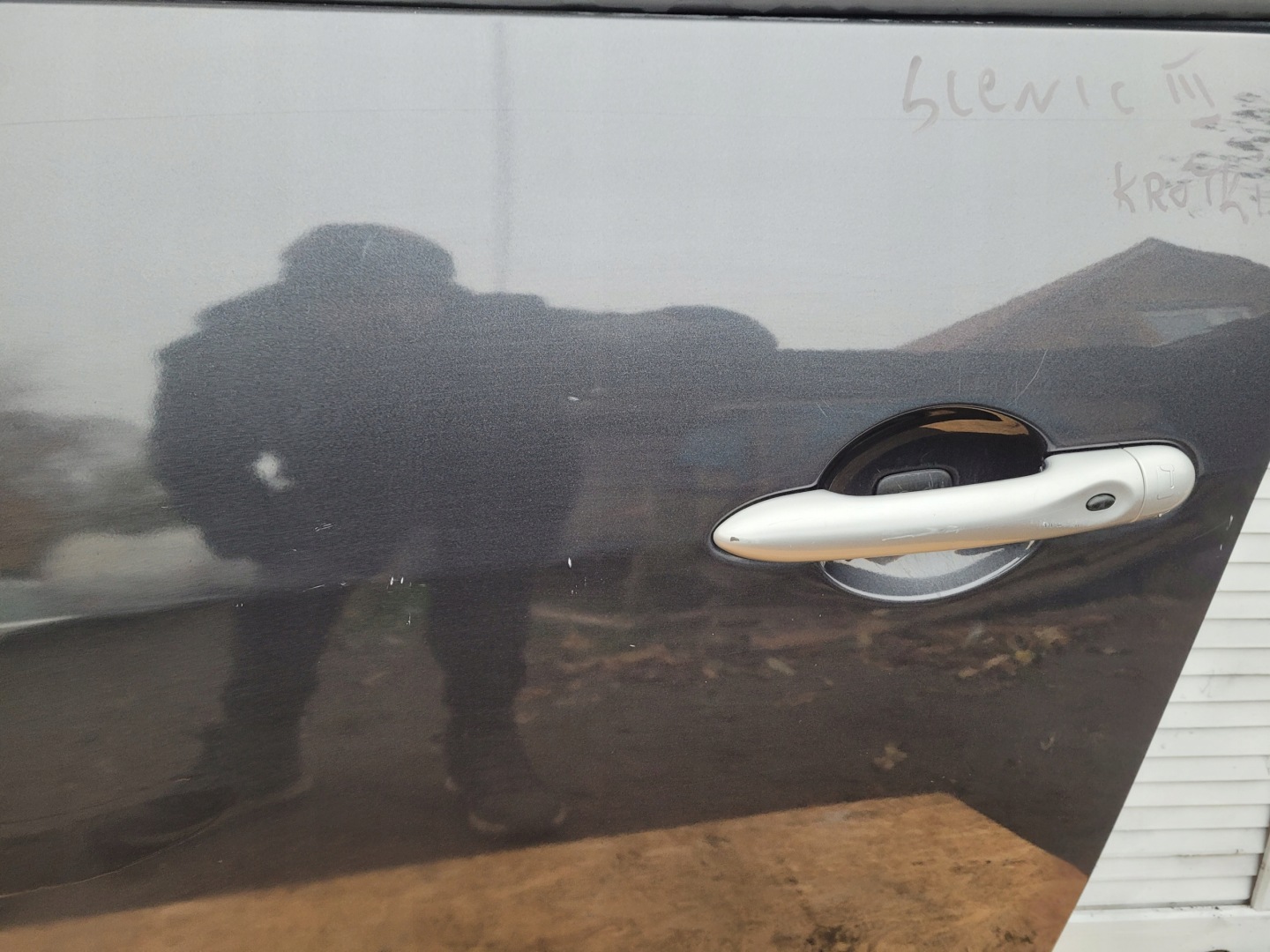 door front front left RENAULT SCENIC III