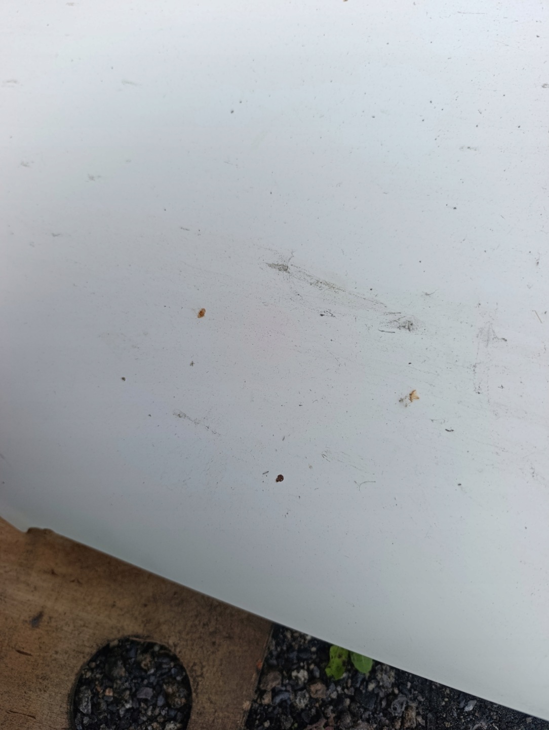 VW T5 bonnet biala