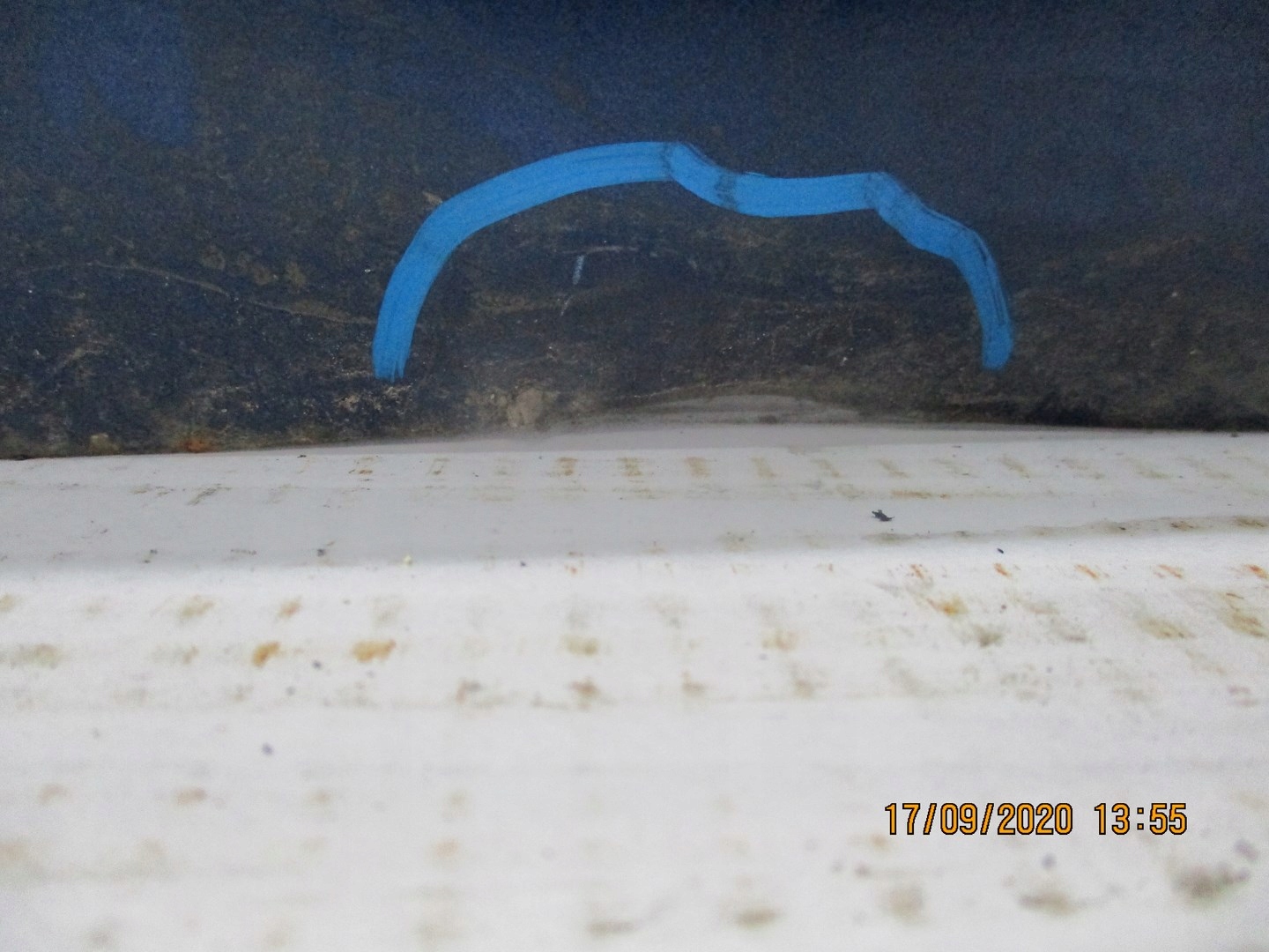 door Fiat Punto 1 unprotected right front