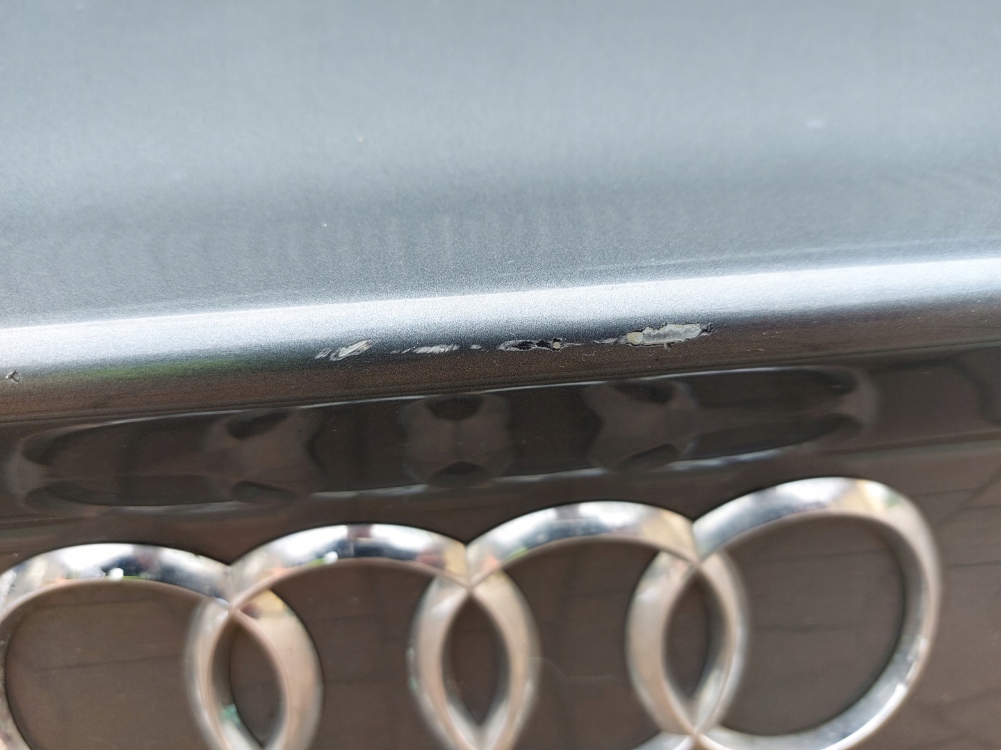 boot door AUDI A5 8T SPORTBACK grey 11r