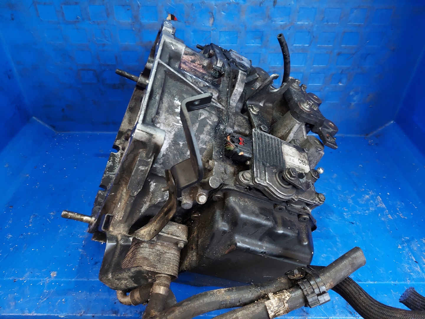cambio TCROMA 1.9 JTD TF-80SCAF40 DIESEL