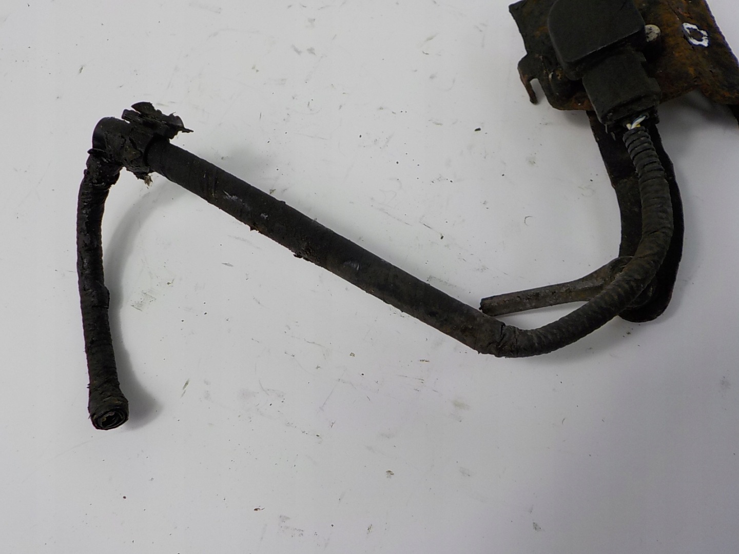 FORESTER II SG Sensor POZIOMOWANIA XENON vorne