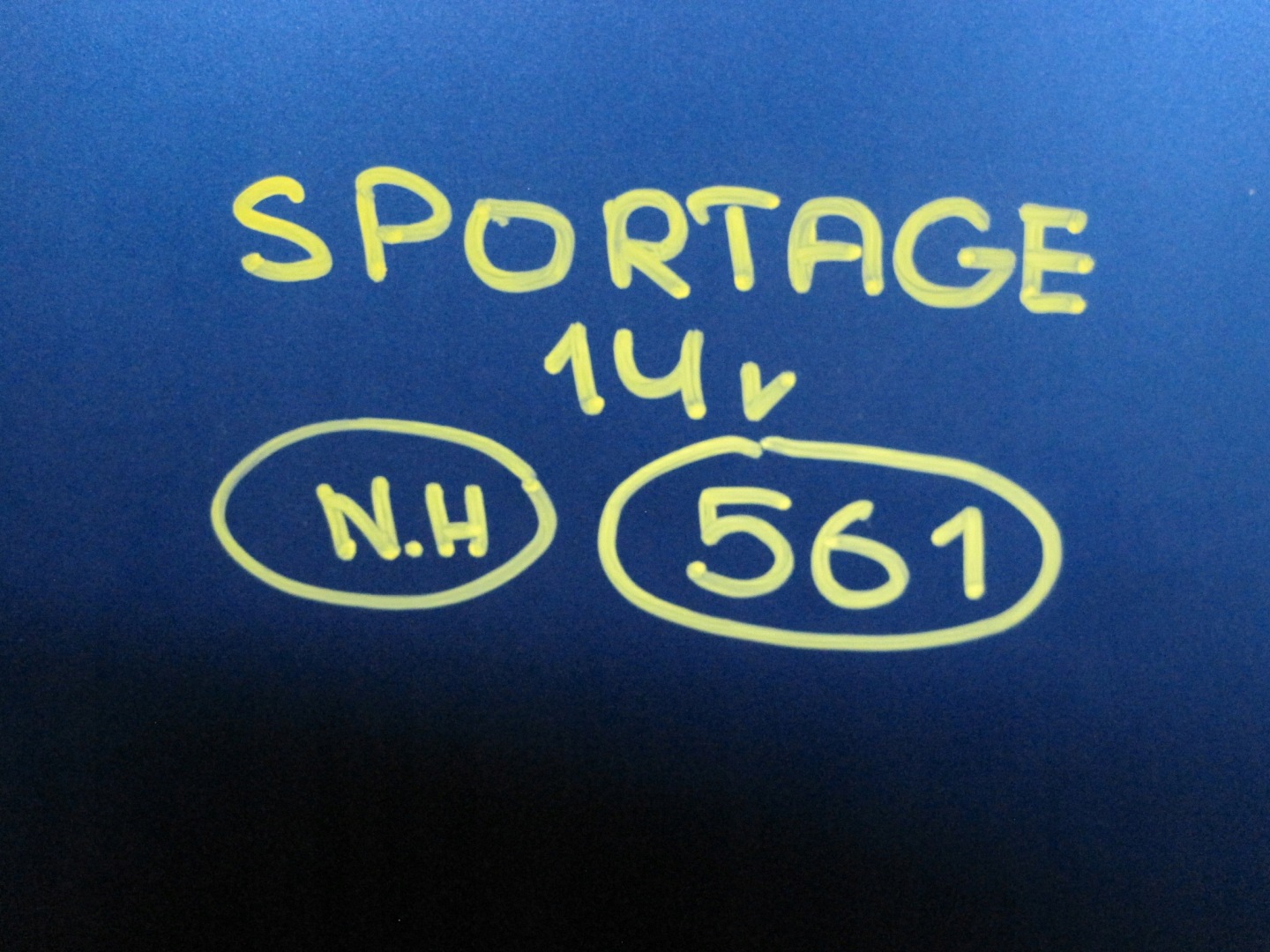 Capot Kia SPORTAGE III 14R
