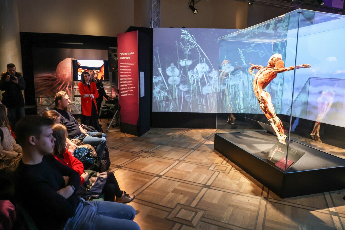Wystawa Body Worlds Warszawa już otwarta Allegro.pl