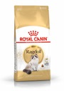 Royal Canin Ragdoll Adult karma sucha dla kotów dorosłych rasy ragdoll ...