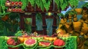 Donkey Kong Country Tropical Freeze (Switch) Názov Donkey Kong Country: Tropical Freeze