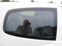 КУЗОВ ПРАВОГО ОКНА TWINGO II 06-12