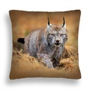 ПОДУШКА ZW 15 РЫСЬ ОХОТИТСЯ СРЕДИ ТРАВЫ JASIEK 40x40