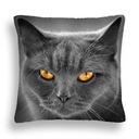 ПОДУШКА GREY CAT 41 PERFECT YELLOW LOOK