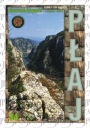 Плай 34. Карпатский альманах.