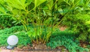 Опоры Monstera, зеленые, 60 см, металлические опоры для растений, 3 шт.