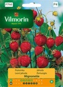 Semená Vodováha Rujana 0,2 g Vilmorin jahoda bez stoniek EAN (GTIN) 5907617300972