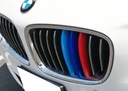 BRIDAS AL REJILLA DE RADIADOR REJILLAS M-PAQUETE BMW F07 5GT 5 GT 