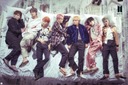 Лицензионный шаблон плаката BTS K-pop2