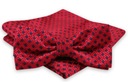 Красно-темно-синий мужской галстук-бабочка с нагрудным платком - ALTIES