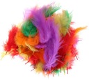 ПЕРЬЯ 50 ГРАММ ПЕРЬЯ ДЕКОРАТИВНЫЕ 24 ЦВЕТА 300 ШТ.
