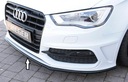 Вставка в хоккейный бампер Audi A3 8V S-Line 12-16
