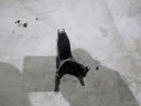 SUPPORT BUSES D'INJECTION SCANIA 420 HPI 1484191photo 10