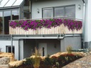 Балконное покрытие, украшение балкона SURFINIE цветы