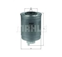 FILTREphoto 15