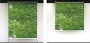 bluszcz ROLETY balkonowe tarasowe 80wzorów 84x150 Marka inna