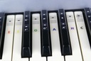 Наклейки на клавиатуру (фортепиано, клавиатура) H