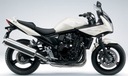 Наклейки FOOQS на мотоцикл SUZUKI GSF-650-S 2009 г.в.