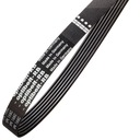 Pasek napędowy wieloklinowy 7PJ 813 320J Optibelt