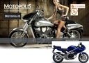 SUZUKI SV 650 1998-2002 - АВАРИЙНЫЕ НАКЛАДКИ ТВЕРДЫЕ