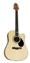 SAMICK GD-100S C/N - gitara akustyczna