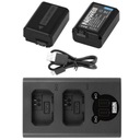 ЗАРЯДНОЕ УСТРОЙСТВО ДЛЯ ДВОЙНОГО ЖК-дисплея + 2 АККУМУЛЯТОРА ДЛЯ SONY NP-FW50