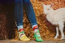 Farebné ponožky SPOX SOX Farma 40-43 Počet kusov v súprave 1